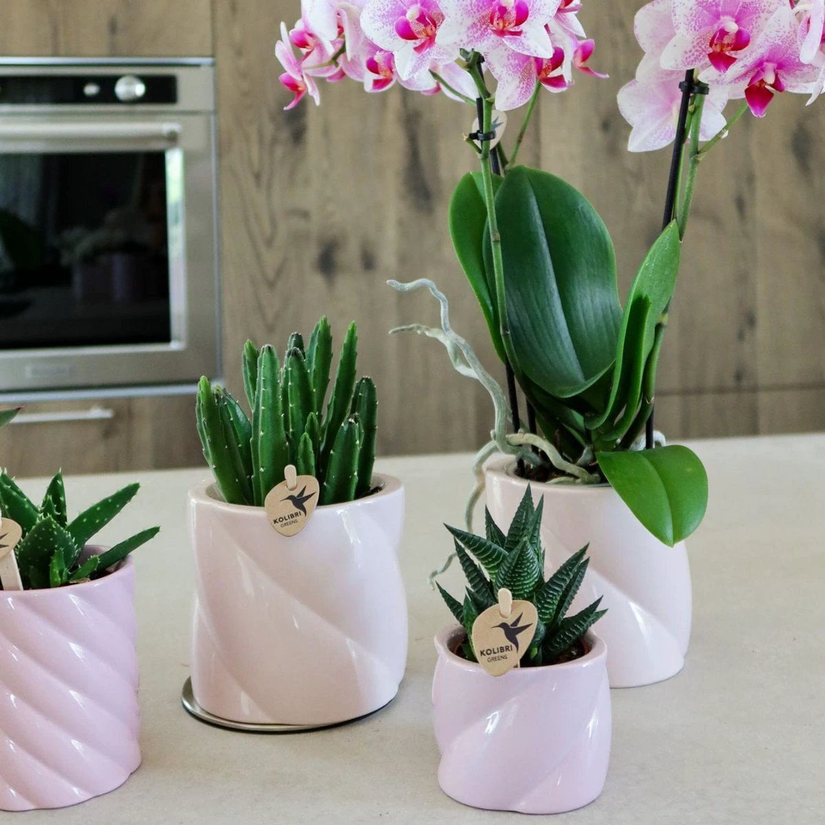 Hummingbird Home | Candy decorative pot - Pink - Ø9cm by Kolibri Company
