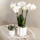 Kolibri Home | Retro sierpot - White - Ø9cm by Kolibri Company