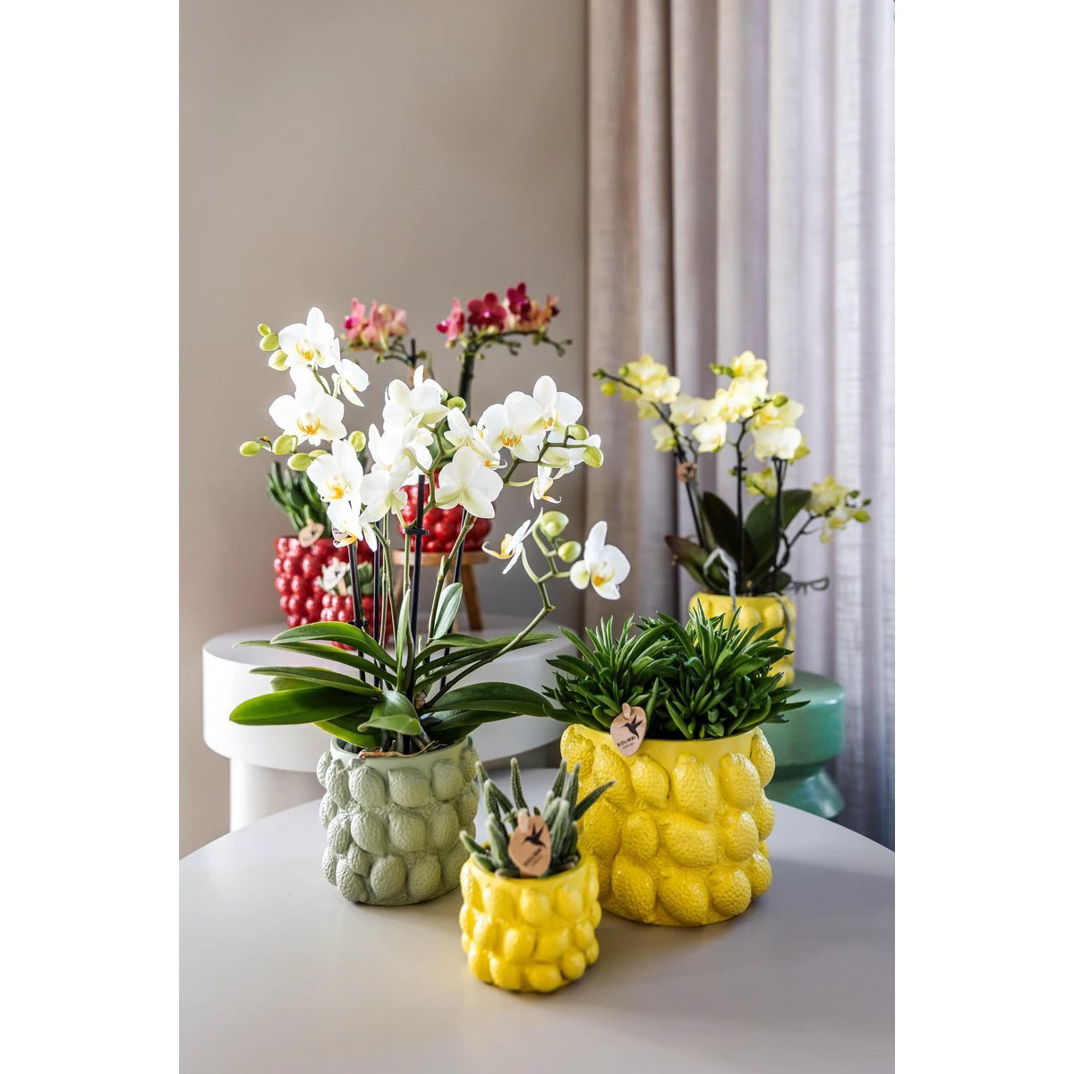 Hummingbird Home | Citrus pot yellow - Ø12cm by Kolibri Company