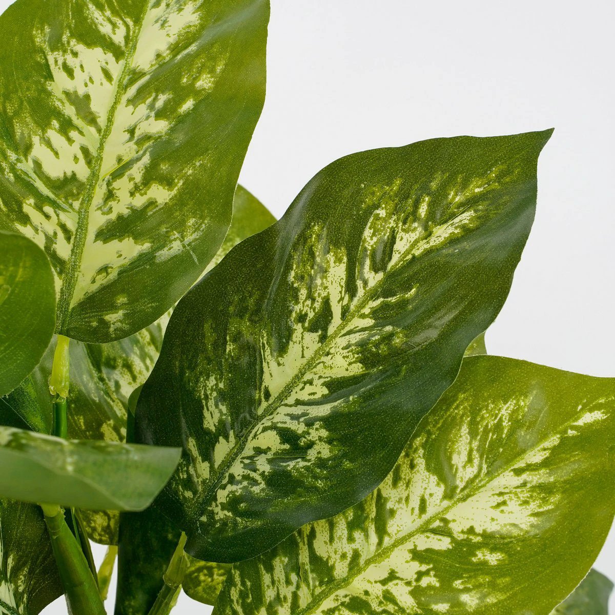 Artificial plant Dieffenbachia Green by Mica Decorations