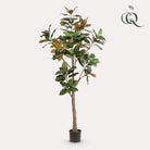 Artificial plant - Magnolia Grandiflora - 180 cm by Green boutiQ