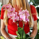 Kolibri Orchids I COMBI DEAL van 2 Phalaenopsis orchideeën - Pirate Picotee - potmaat Ø12cm | bloeiende kamerplant - vers van de kweker by Kolibri Company