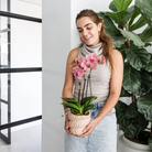 Kolibri-Orchideen | KOMBI-ANGEBOT mit 4 Phalaenopsis-Orchideen – Pirate Picotee – Topfgröße Ø12 cm | blühende Zimmerpflanze – frisch vom Züchter von Kolibri Company
