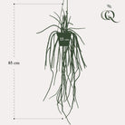 Art plant - Rhypsalis - Coral Cactus - 85 cm by Green boutiQ