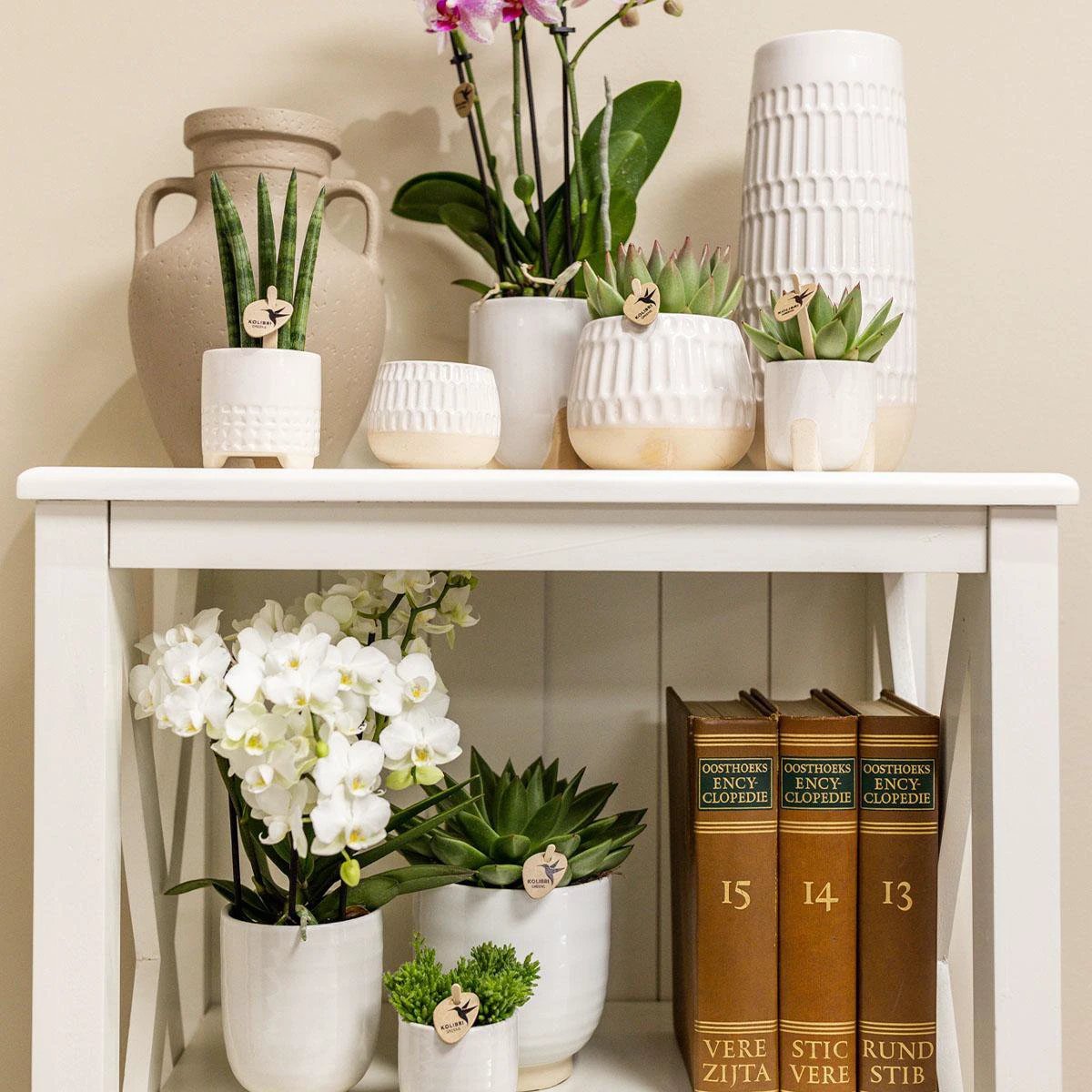 Hummingbird Home | Glazed flower pot - White ceramic decorative pot with gloss - Ø12cm by Kolibri Company