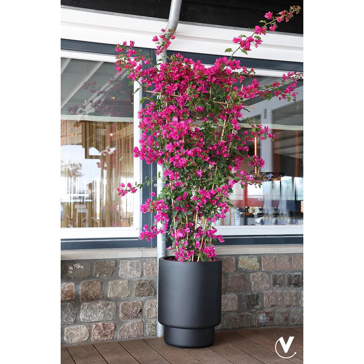 Plantenpot - Almstok big black by Vase The World