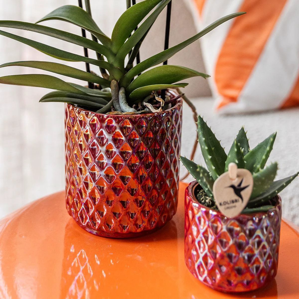 Kolibri Home | Diamond pearl sierpot - Red - Ø9cm by Kolibri Company