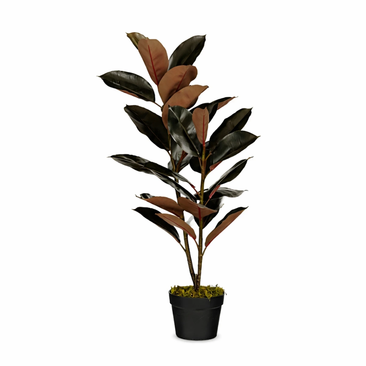 Artificial plant Rubber plant Red by Mica Decorations