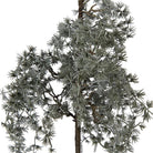 Artificial plant 30x30x60 cm Green Plastic by Clayre & Eef.