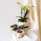 Hummingbirds Home | Bali sierpot - Off White - Ø6cm by Kolibri Company