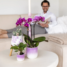 Kolibri Home | Coral - Lilac - Ø9cm by Kolibri Company