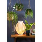 Flowerpot hanging inside Avalon Light brown by Mica Decorations