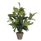 Artificial plant Hosta Green by Mica Decorations