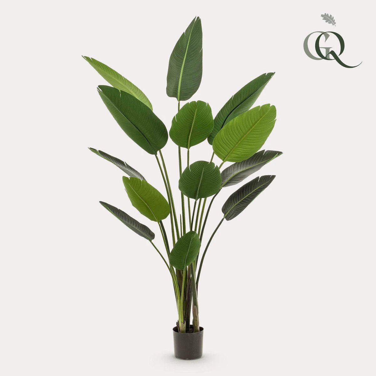 Kunstpflanze – Strelitzia Nicolai – Paradiesvogelblume – 190 cm von Green boutiQ