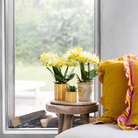Kolibri Home I Malaga pot - Yellow - Ø9cm by Kolibri Company
