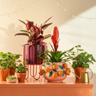 Flowerpot inside Dione Purple by Mica Decorations