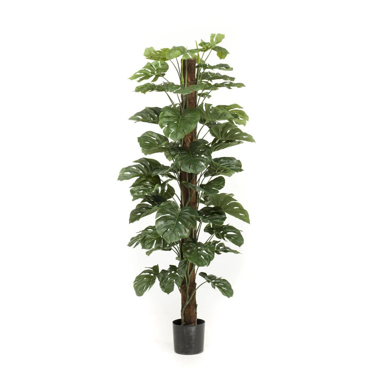 Monstera Deliciosa – Kunstpflanze – 180 cm von Green boutiQ