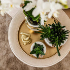 Hummingbird Home | Le Chic flower pot - White ceramic decorative pot with gold details - Ø6cm by Kolibri Company