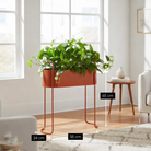 Flowerpot inside Moritz Red by Mica Decorations