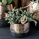 Hummingbird Home | Elite pot copper - Ø6cm by Kolibri Company