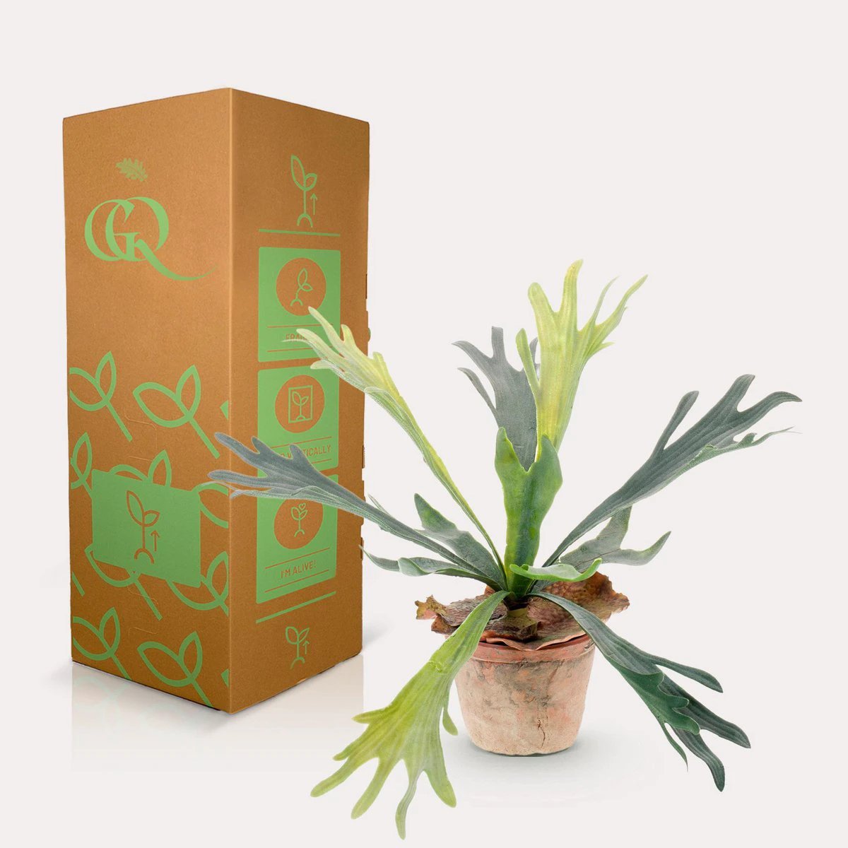 Kunstpflanze – Hirschgeweihfarn – Staghorn – 33 cm von Green boutiQ