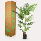 Artificial plant - Howea Forsteriana - 160 cm by Green boutiQ