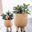 Hummingbird Home | Gummy pot travertine - Ø9cm by Kolibri Company