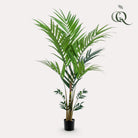 Art plant - Kentia -Kentiapalm - 180 cm by Green boutiQ