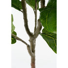 Artificial plant Ficus Green by Mica Decorations