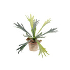 Kunstpflanze – Hirschgeweihfarn – Hirschgeweih – 33 cm von Green boutiQ