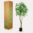 Artificial plant - Pachira Aquatica - Money tree - 180 cm by Green boutiQ