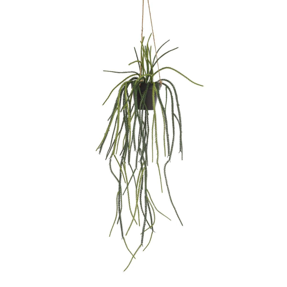 Kunstpflanze – Rhypsalis – Korallenkaktus – 85 cm von Green boutiQ