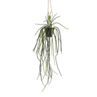 Art plant - Rhypsalis - Coral Cactus - 85 cm by Green boutiQ