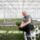 2x Campanula Addenda Ambella Intense Purple in Granada Sier-Töpfen – Topfgröße 12 cm – mehrjährig – winterhart von Kolibri Company
