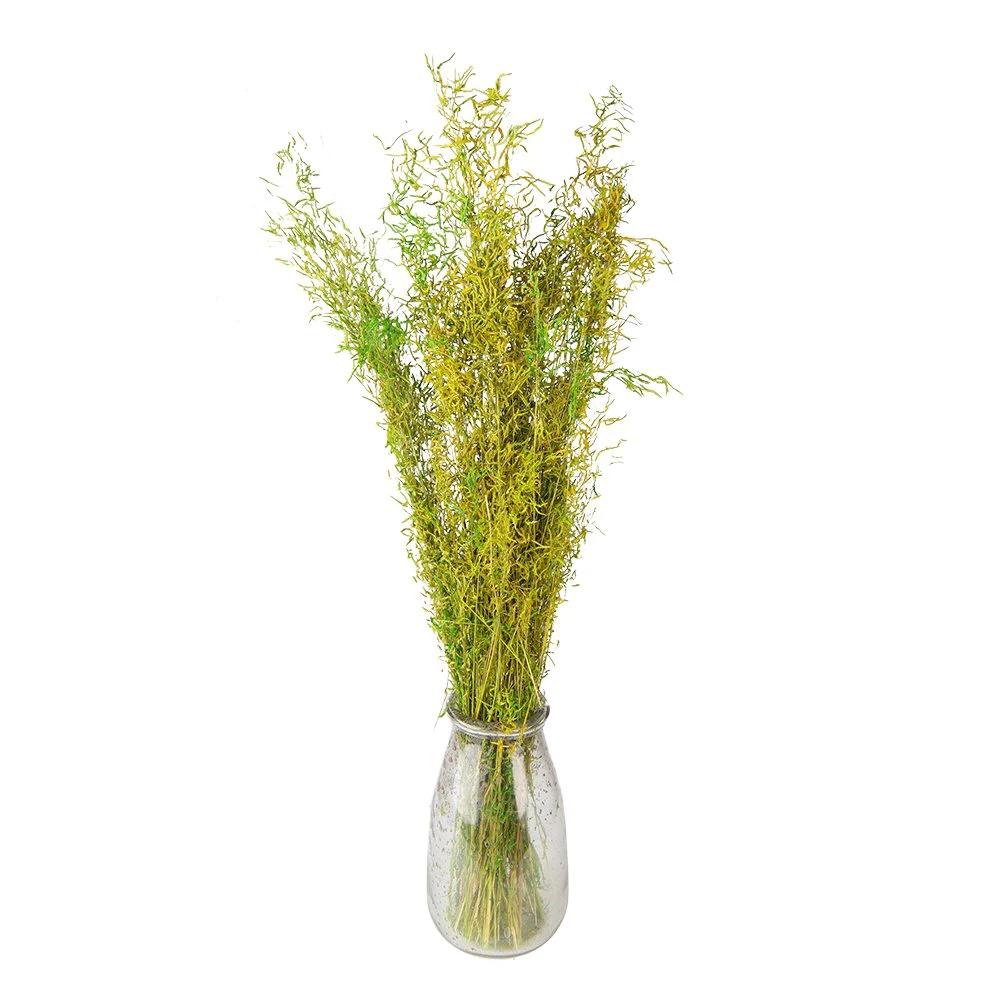 Trockenblumen 90 cm (50 g) von Clayre & Eef.