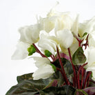 Artificial plant Cyclamen White by Mica Decorations