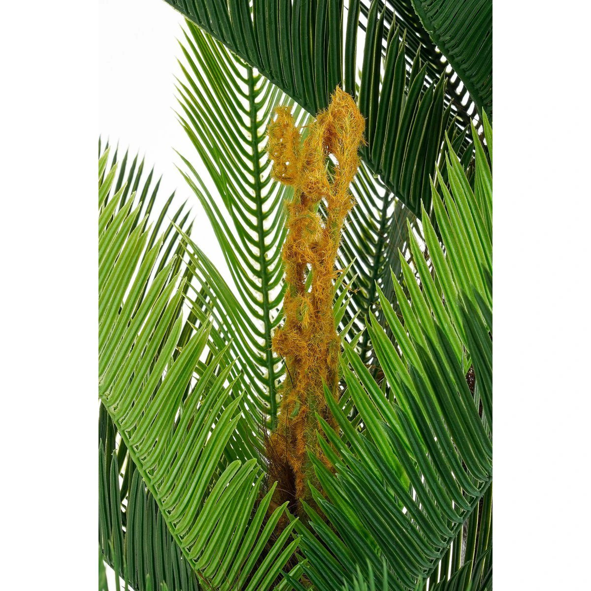 Artificial plant Cycas green by Mica Decorations