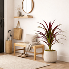 Artificial Plant Banana Tree Red by Mica Decorations