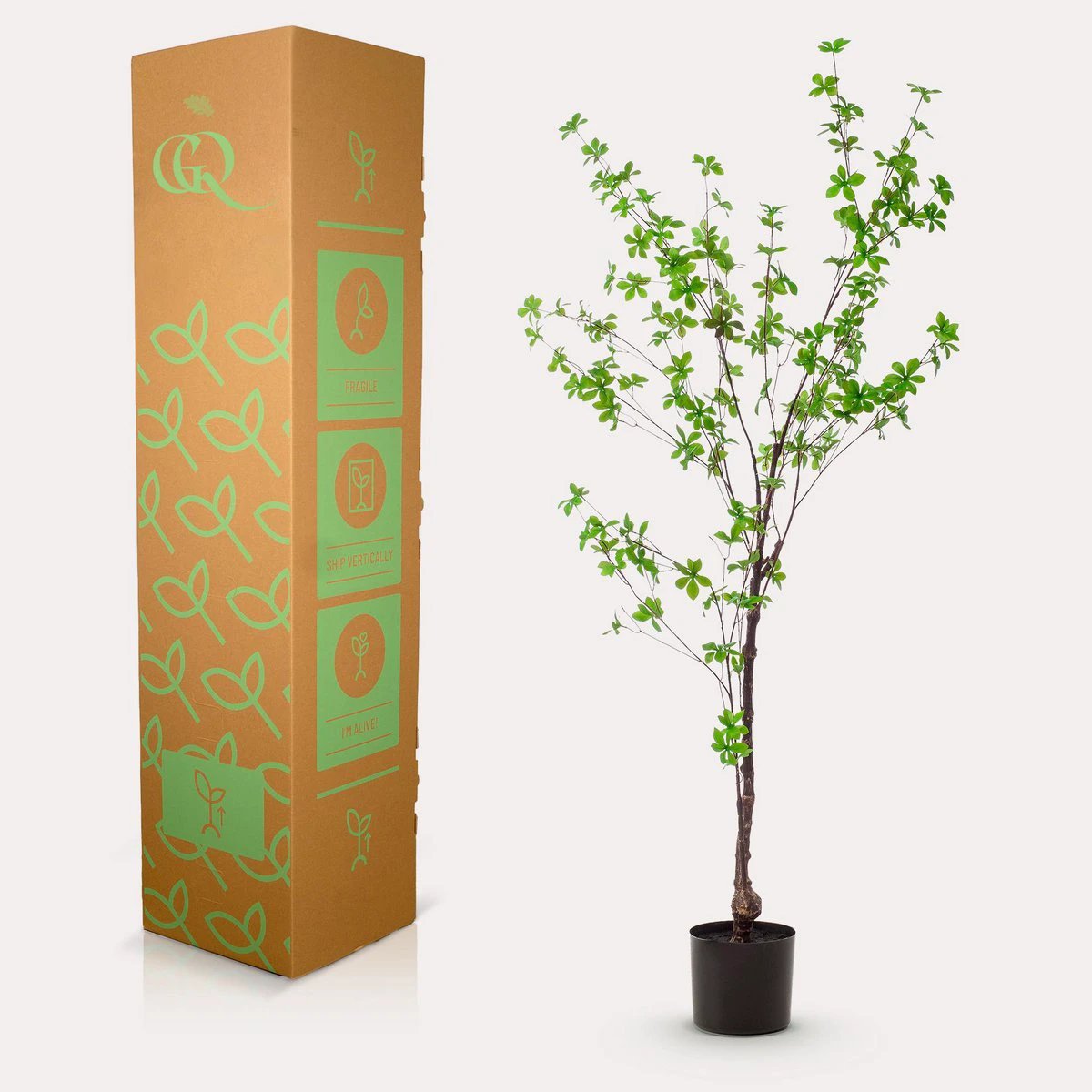 Kunstplant - Tropseolum attractive - Oost Indistent - 150 cm by Green boutiQ