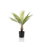 Art plant - Chamaedorea - Bergpalm - 50 cm by Green boutiQ