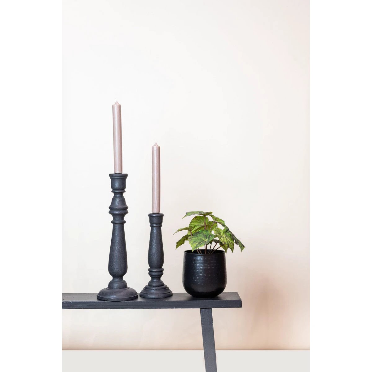 Kunstpflanze – Begonia Rex – Blattbegonie – 25 cm von Green boutiQ