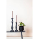 Kunstpflanze – Begonia Rex – Blattbegonie – 25 cm von Green boutiQ