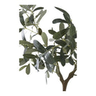Olive Tree by EMIRELLE