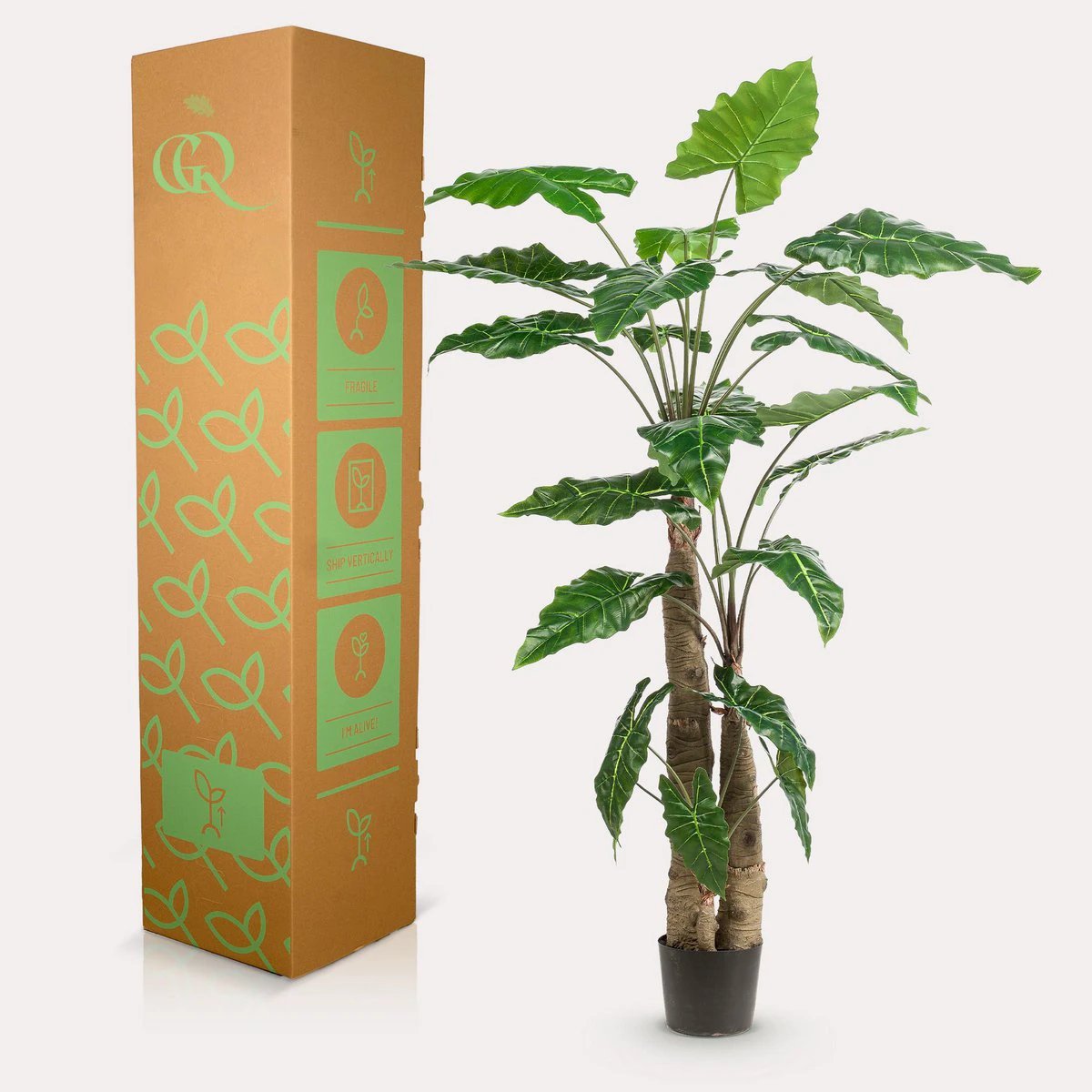 Art plant - Alocasia - Elephants ear - 180 cm by Green boutiQ