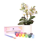 Kolibri Creatives | Paint package for painting 4 flower pots + orchids | for 4 persons | Novice artist by Kolibri Company