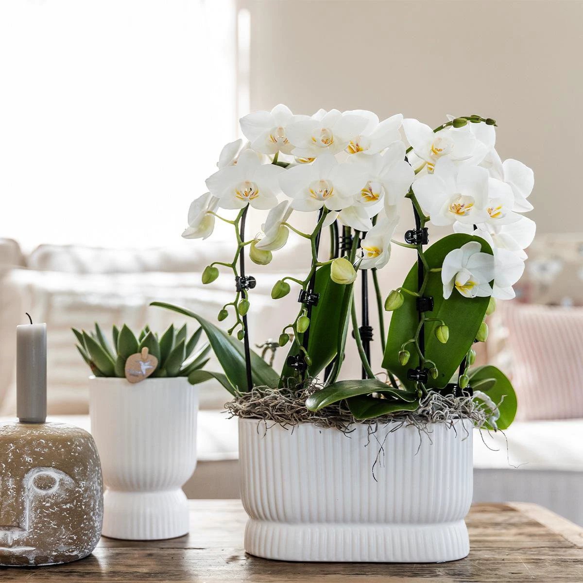 Hummingbird Home | Diabolo pot white - Ø9cm by Kolibri Company