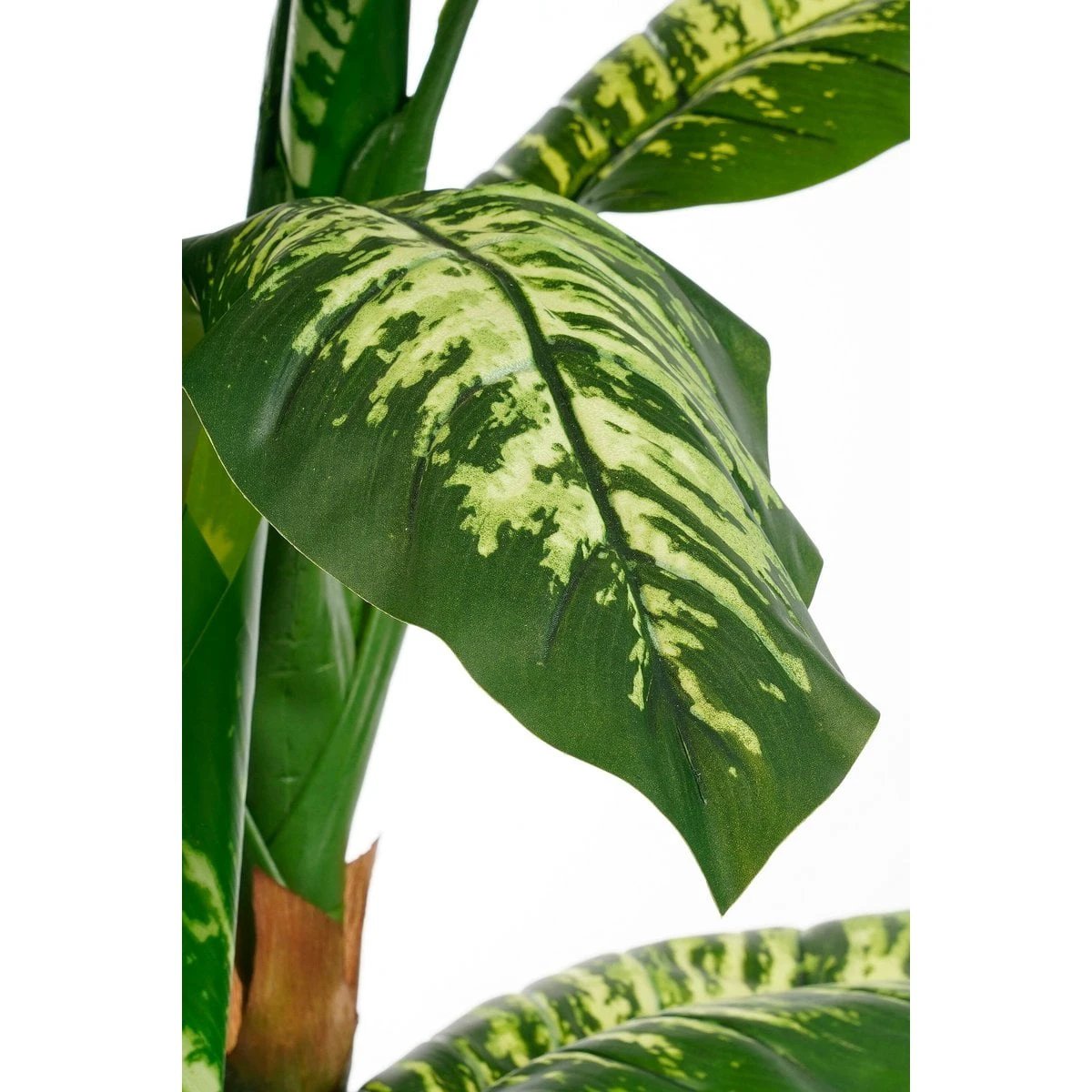 Artificial plant Dieffenbachia Green by Mica Decorations