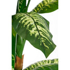 Artificial plant Dieffenbachia Green by Mica Decorations