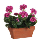 Artificial plant Geranium Pink by Mica Decorations