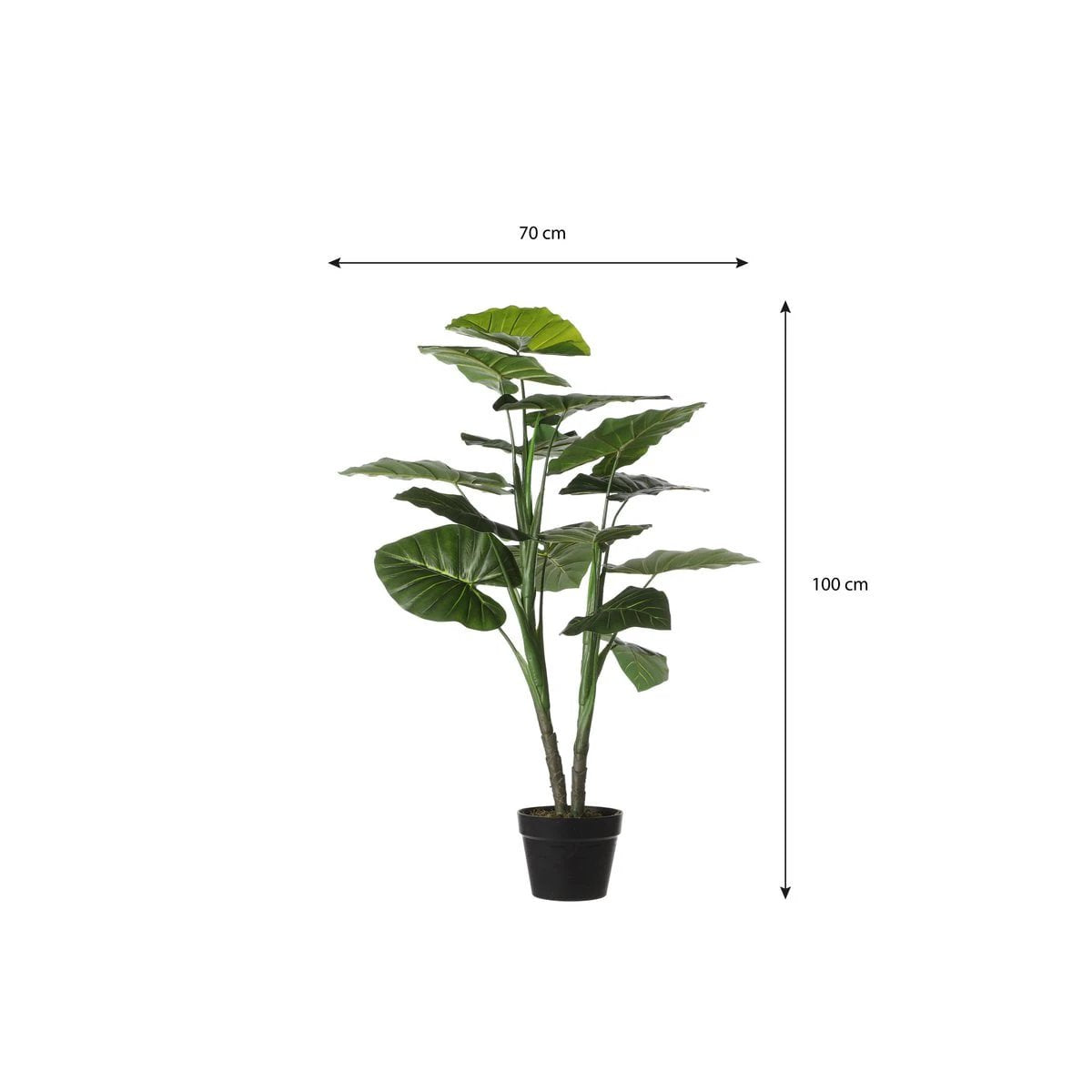 Artificial plant Taro Green by Mica Decorations